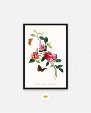 Botanical Butterflies