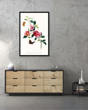 Botanical Butterflies