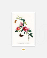 Botanical Butterflies