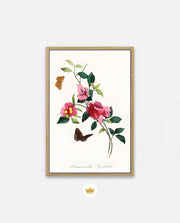 Botanical Butterflies