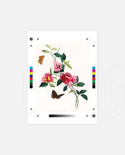 Botanical Butterflies