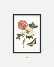 Vintage Floral Butterfly