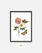 Vintage Floral Butterfly