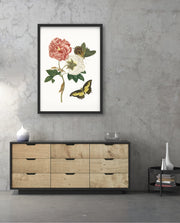 Vintage Floral Butterfly