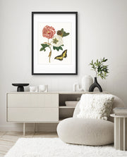 Vintage Floral Butterfly