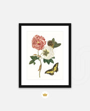 Vintage Floral Butterfly