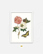 Vintage Floral Butterfly