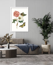 Vintage Floral Butterfly