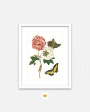 Vintage Floral Butterfly