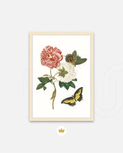 Vintage Floral Butterfly