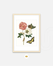 Vintage Floral Butterfly
