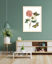 Vintage Floral Butterfly