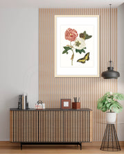 Vintage Floral Butterfly
