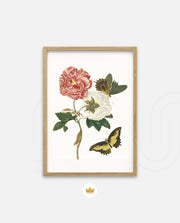 Vintage Floral Butterfly