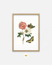 Vintage Floral Butterfly