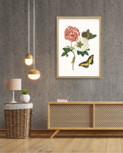 Vintage Floral Butterfly