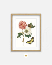 Vintage Floral Butterfly
