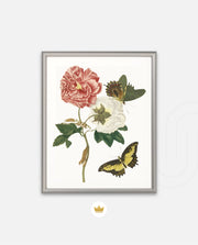 Vintage Floral Butterfly