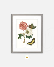 Vintage Floral Butterfly