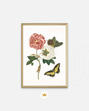 Vintage Floral Butterfly