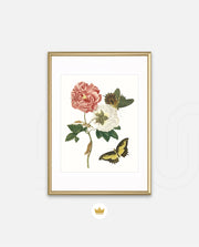 Vintage Floral Butterfly