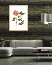 Vintage Floral Butterfly