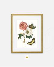 Vintage Floral Butterfly