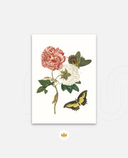Vintage Floral Butterfly