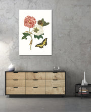Vintage Floral Butterfly