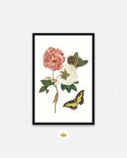 Vintage Floral Butterfly