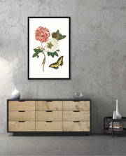 Vintage Floral Butterfly