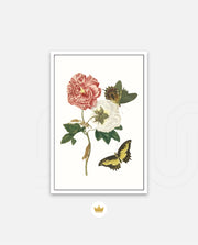 Vintage Floral Butterfly