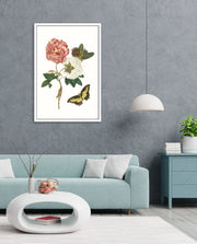Vintage Floral Butterfly