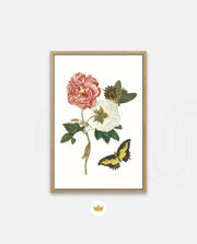 Vintage Floral Butterfly