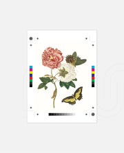 Vintage Floral Butterfly