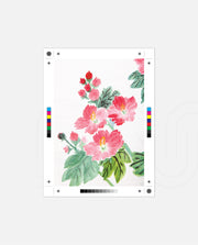 Coral Floral Stem