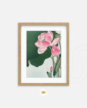 Lotus Bloom Vintage