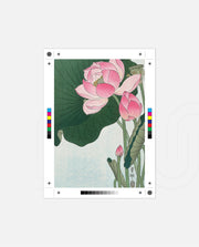 Lotus Bloom Vintage