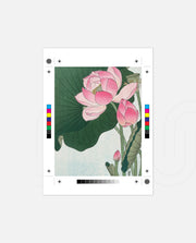 Lotus Bloom Vintage