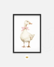 Blush Duck
