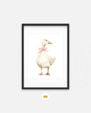 Blush Duck