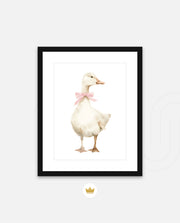 Blush Duck