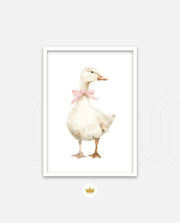 Blush Duck