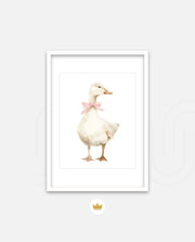 Blush Duck