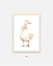 Blush Duck