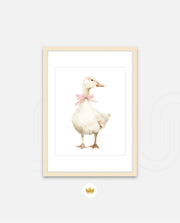 Blush Duck