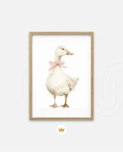 Blush Duck