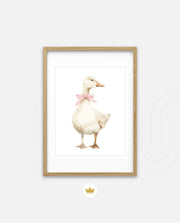 Blush Duck