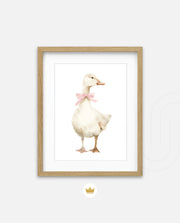 Blush Duck