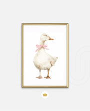 Blush Duck